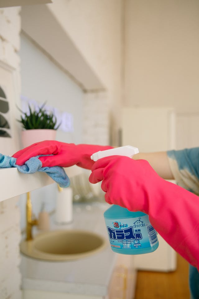 Kitchen Cleaning